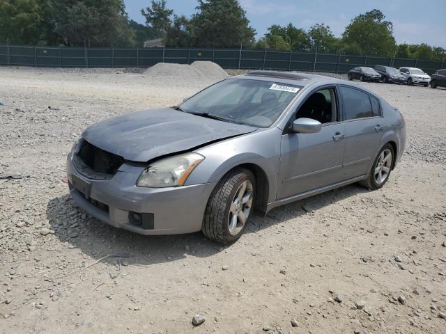 NISSAN MAXIMA SE 2008 with VIN 1N4BA41E58C838063 - Photo from auction