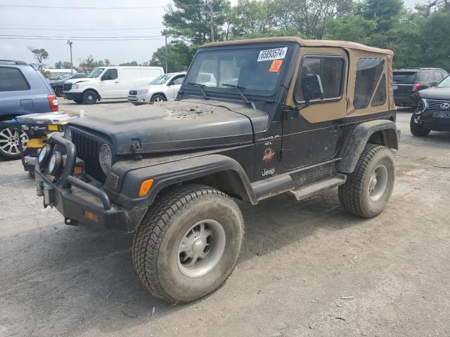 JEEP WRANGLER / 1998 with VIN 1J4FY49S1WP720805 - Photo from auction