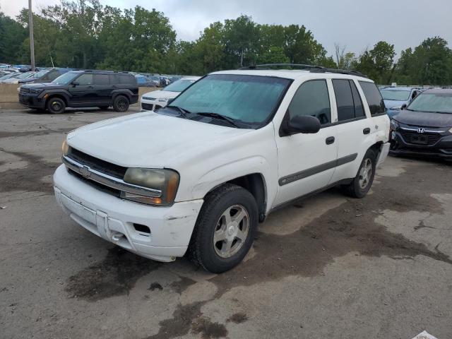 CHEVROLET TRAILBLAZE 2004 with VIN 1GNDT13S342353376 - Photo from auction