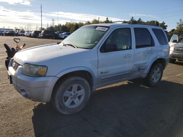 FORD ESCAPE HEV 2006 with VIN 1FMYU96H16KC06753 - Photo from auction