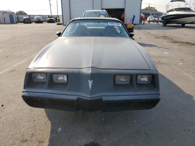 Photo 5 from auction – 1981 PONTIAC FIREBIRD with VIN 1G2AS87A4BL127822