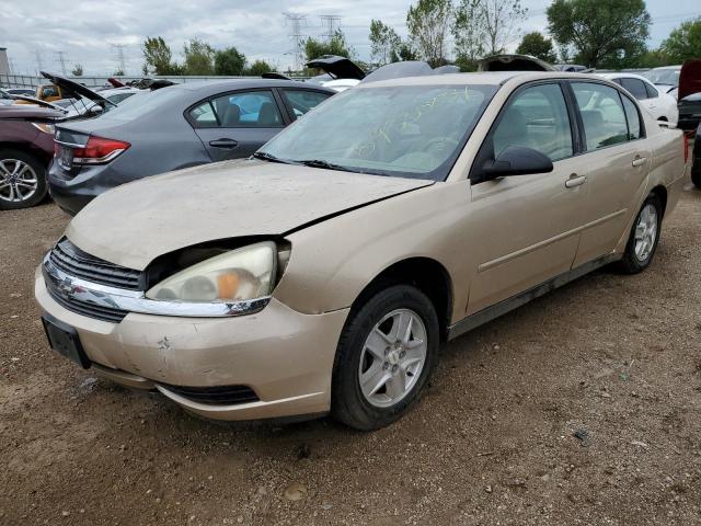 Photo 1 from auction – 2005 CHEVROLET MALIBU with VIN 1G1ZS52F25F236985