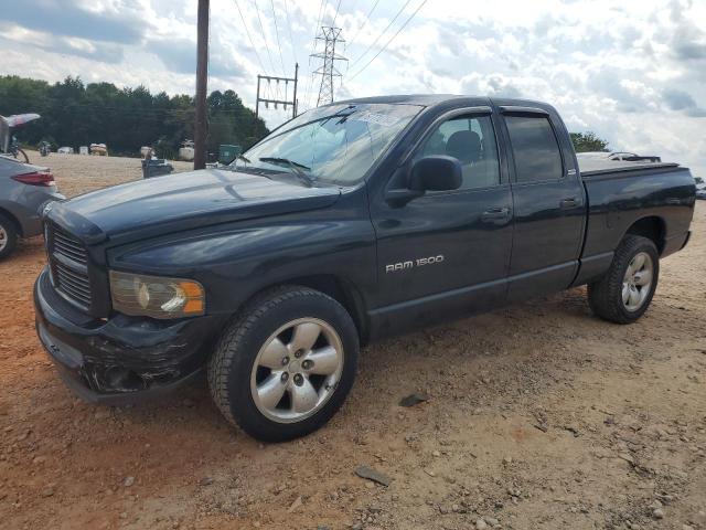 DODGE RAM 1500 2002 with VIN 1D7HA18N32J193513 - Photo from auction