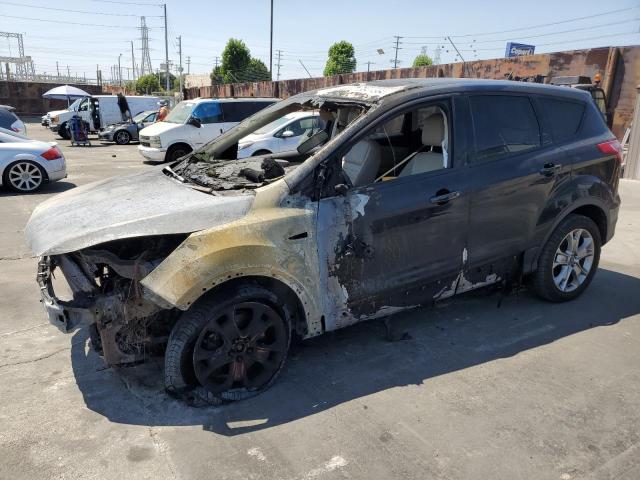FORD ESCAPE SEL 2013 with VIN 1FMCU9HX7DUA34244 - Photo from auction