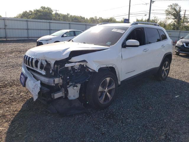 JEEP CHEROKEE L 2019 with VIN 1C4PJMDN8KD257461 - Photo from auction