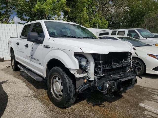Photo 4 from auction – 2016 FORD F150 SUPER with VIN 1FTEW1EP7GKF92320