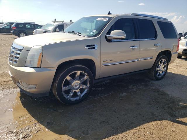 CADILLAC ESCALADE P 2010 with VIN 1GYUCCEF2AR137553 - Photo from auction