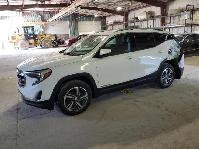 GMC TERRAIN SL 2020 with VIN 3GKALVEV4LL106928 - Photo from auction
