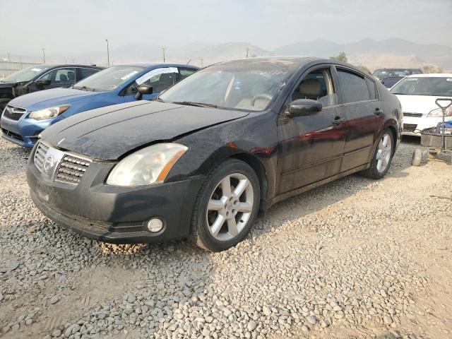 NISSAN MAXIMA SE 2004 with VIN 1N4BA41E64C915565 - Photo from auction