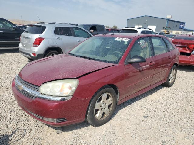 CHEVROLET MALIBU MAX 2004 with VIN 1G1ZU64894F196479 - Photo from auction