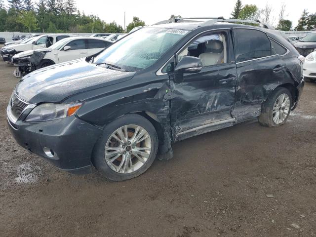 LEXUS RX 450 2010 with VIN JTJBC1BA4A2020346 - Photo from auction