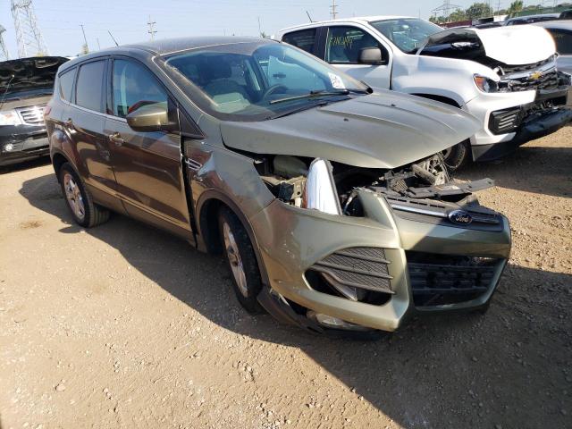 Photo 4 from auction – 2014 FORD ESCAPE SE with VIN 1FMCU0GX1EUA35937
