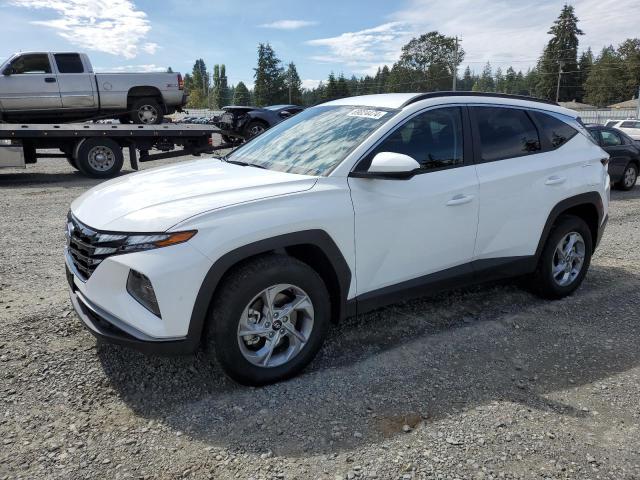 HYUNDAI TUCSON SEL 2024 with VIN 5NMJBCDE8RH392437 - Photo from auction
