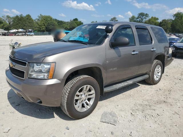 CHEVROLET TAHOE SPEC 2013 with VIN 1GNSK2E05DR308569 - Photo from auction