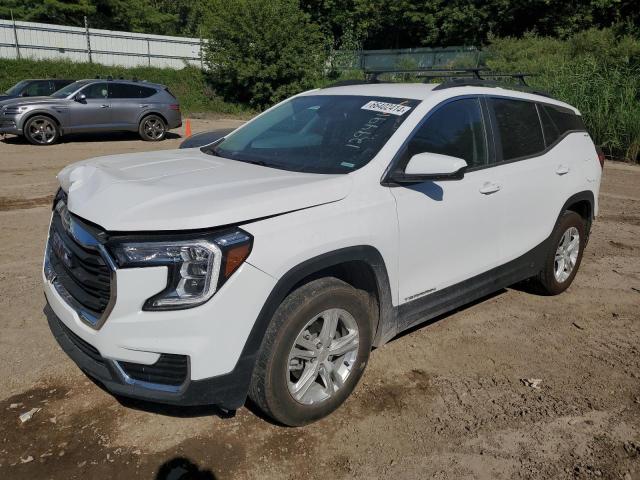 GMC TERRAIN SL 2022 with VIN 3GKALTEV8NL129491 - Photo from auction