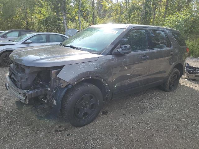 FORD EXPLORER P 2017 with VIN 1FM5K8AR0HGA71564 - Photo from auction