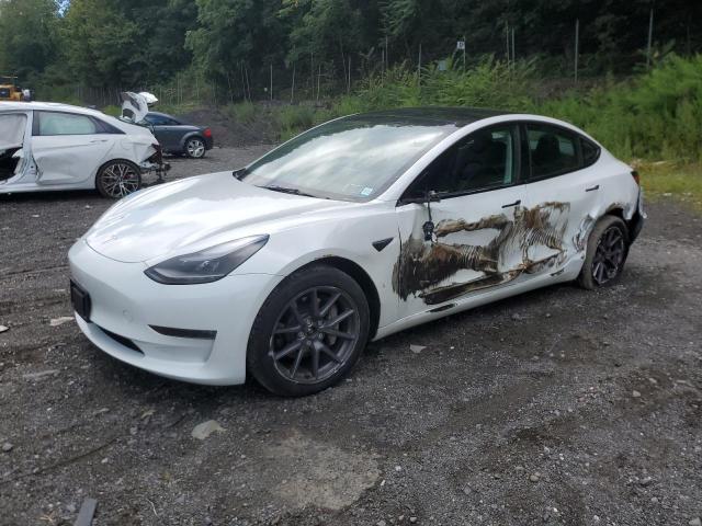 TESLA MODEL 3 2023 with VIN 5YJ3E1EB6PF611094 - Photo from auction