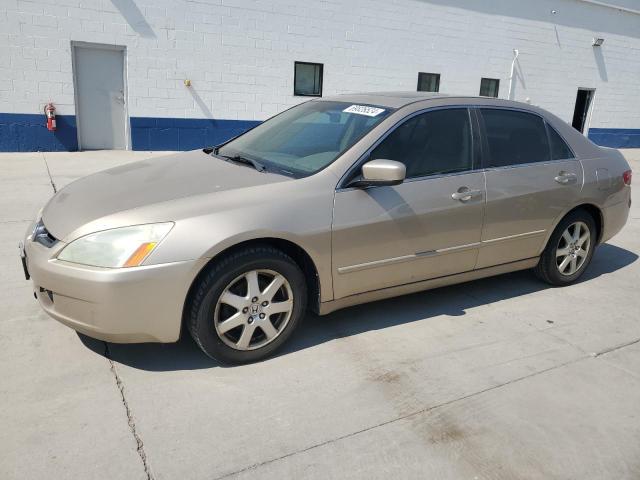 Photo 1 from auction – 2005 HONDA ACCORD EX with VIN 1HGCM66545A031892