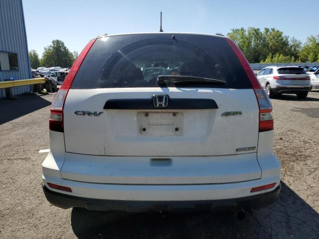Photo 6 from auction – 2011 HONDA CR-V SE with VIN 5J6RE4H45BL009148