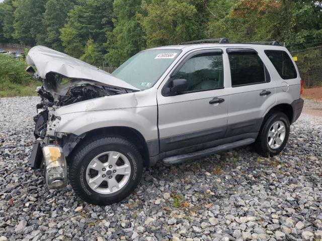 FORD ESCAPE XLT 2006 with VIN 1FMCU93186KB58590 - Photo from auction