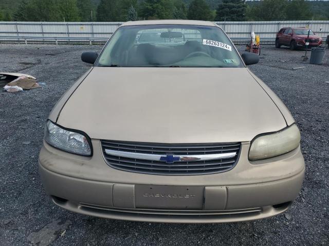 Photo 5 from auction – 2002 CHEVROLET MALIBU with VIN 1G1ND52JX2M709228