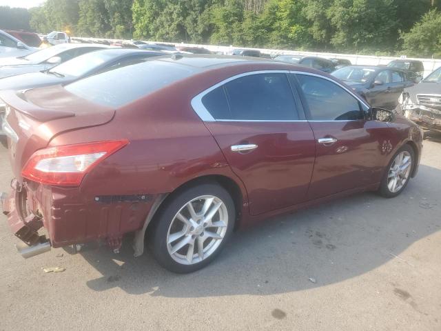 Photo 3 from auction – 2009 NISSAN MAXIMA S with VIN 1N4AA51E79C856454