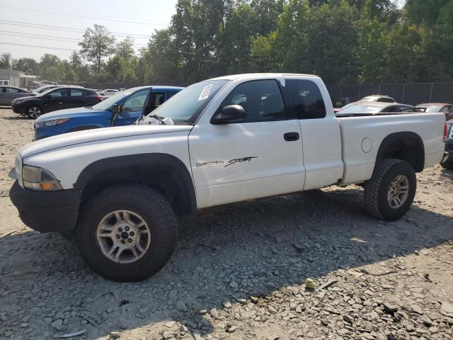 DODGE DAKOTA 2001 with VIN 1B7GG22N91S163928 - Photo from auction