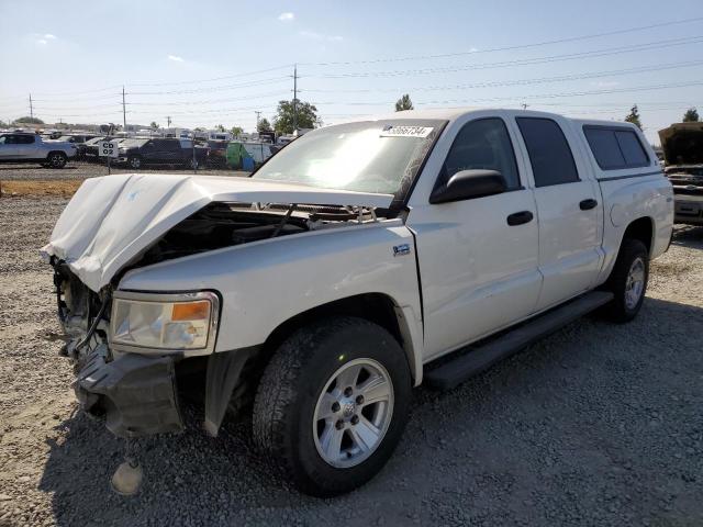 DODGE DAKOTA SXT 2009 with VIN 1D7HW38PX9S813034 - Photo from auction