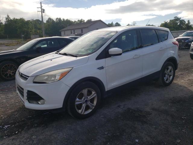 FORD ESCAPE SE 2014 with VIN 1FMCU0GX8EUD88823 - Photo from auction