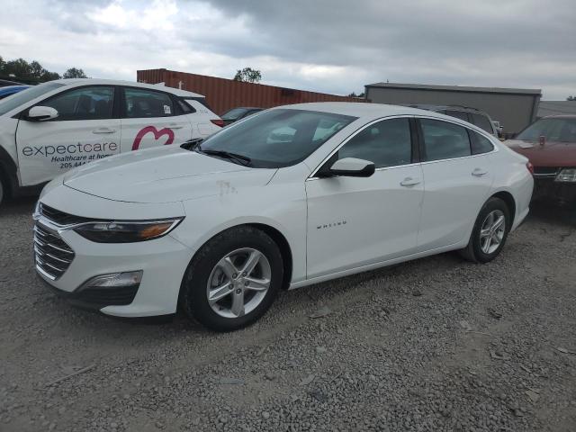 CHEVROLET MALIBU LS 2024 with VIN 1G1ZC5ST5RF149820 - Photo from auction