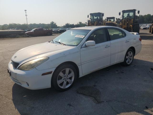 LEXUS ES 330 2005 with VIN JTHBA30G955080086 - Photo from auction