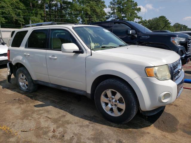 Photo 4 from auction – 2010 FORD ESCAPE LIM with VIN 1FMCU0EGXAKC79563