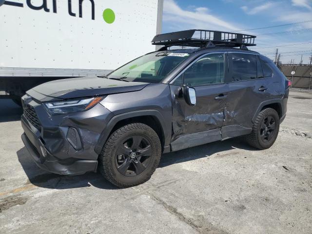 TOYOTA RAV4 XLE 2023 with VIN JTMP1RFV7PJ040776 - Photo from auction