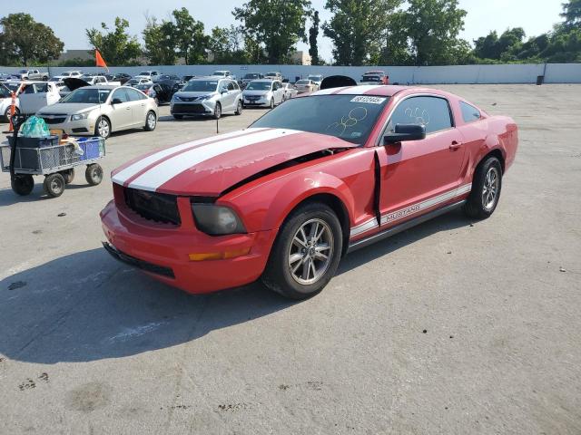 FORD MUSTANG 2005 with VIN 1ZVFT80N955136131 - Photo from auction