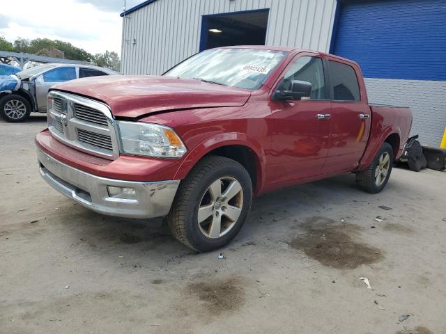 DODGE RAM 1500 2010 with VIN 1D7RV1CT2AS145718 - Photo from auction