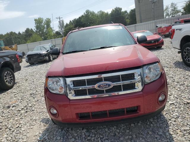 Photo 5 from auction – 2009 FORD ESCAPE XLT with VIN 1FMCU93719KA24058
