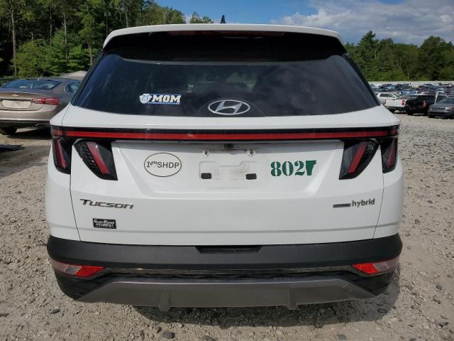 Photo 6 from auction – 2023 HYUNDAI TUCSON LIM with VIN KM8JECA1XPU102709