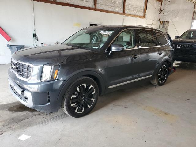 Photo 1 from auction – 2023 KIA TELLURIDE with VIN 5XYP5DGC1PG331973