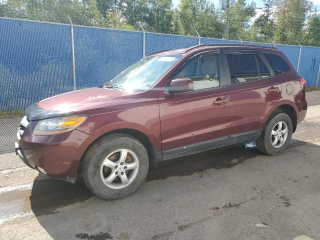 HYUNDAI SANTA FE G 2009 z numerem VIN 5NMSG73E89H314013 - Zdjęcie z aukcji