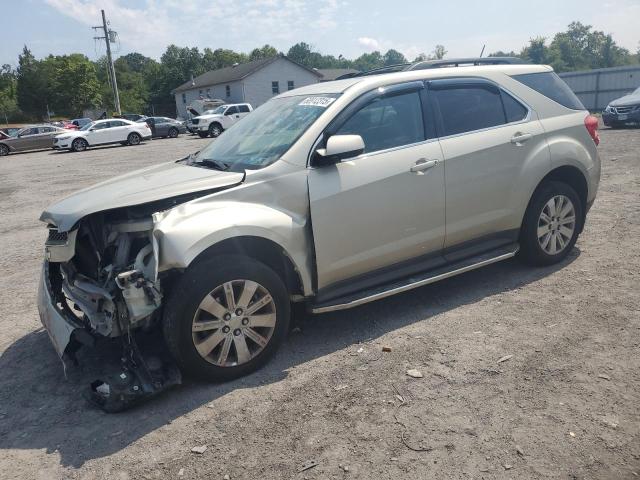 CHEVROLET EQUINOX LT 2013 with VIN 2GNFLNEK8D6301595 - Photo from auction