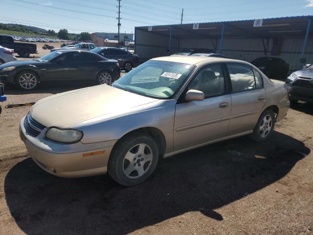 CHEVROLET MALIBU LS 2002 with VIN 1G1NE52J22M721032 - Photo from auction