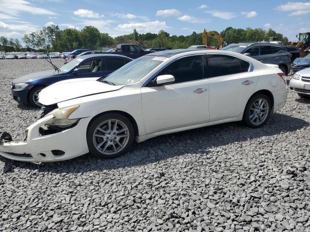 NISSAN MAXIMA S 2010 with VIN 1N4AA5AP5AC838900 - Photo from auction