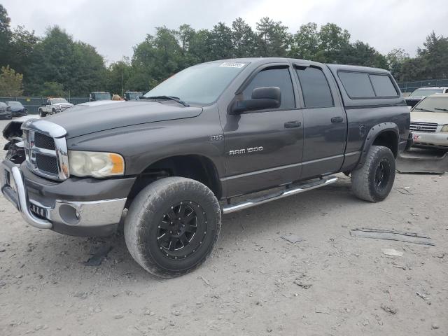 DODGE RAM 1500 S 2004 with VIN 1D7HA18DX4S707586 - Photo from auction