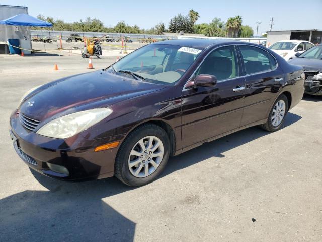 LEXUS ES 330 2004 with VIN JTHBA30G245046912 - Photo from auction