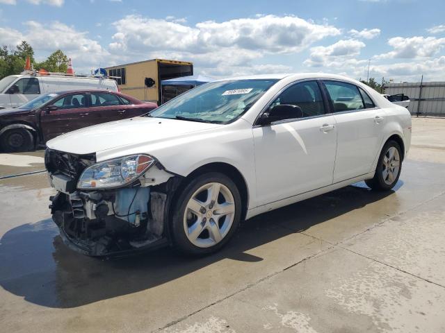 CHEVROLET MALIBU LS 2011 with VIN 1G1ZA5EU8BF337411 - Photo from auction