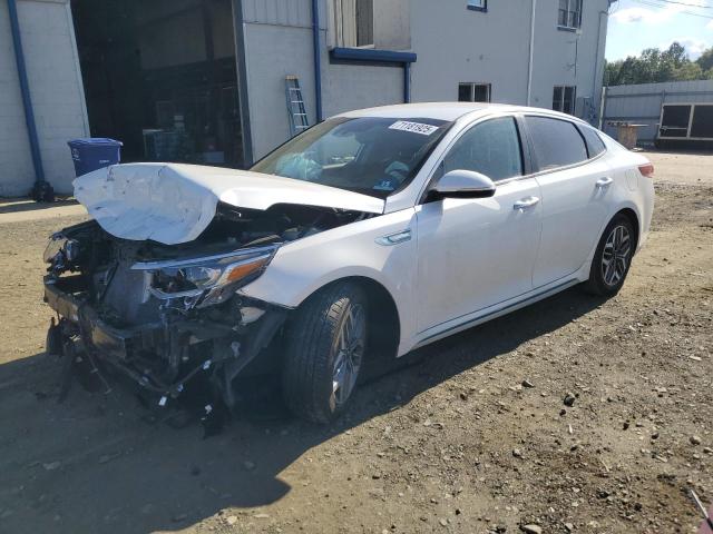 KIA OPTIMA HYB 2020 with VIN KNAGU4LE8L5037237 - Photo from auction