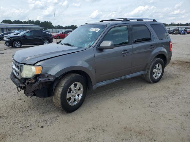 FORD ESCAPE LIM 2010 with VIN 1FMCU9EG1AKD01423 - Photo from auction