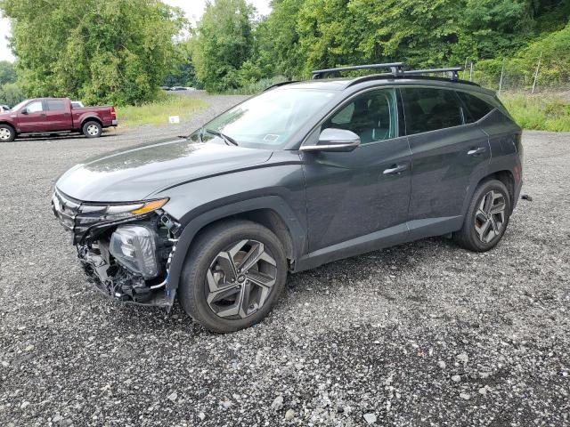 HYUNDAI TUCSON LIM 2023 with VIN 5NMJECAE6PH192939 - Photo from auction
