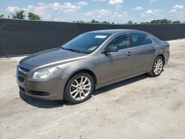 CHEVROLET MALIBU LS 2010 with VIN 1G1ZB5EB6A4138993 - Photo from auction