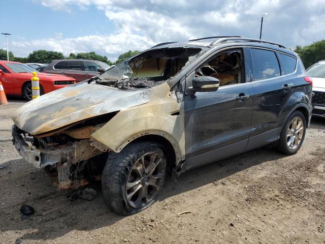 FORD ESCAPE SEL 2013 with VIN 1FMCU0H91DUD23617 - Photo from auction
